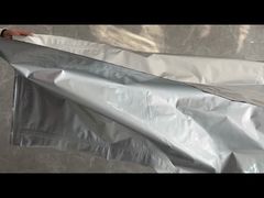 ถุงด้านในสองชั้นของถุงคอนเทนเนอร์